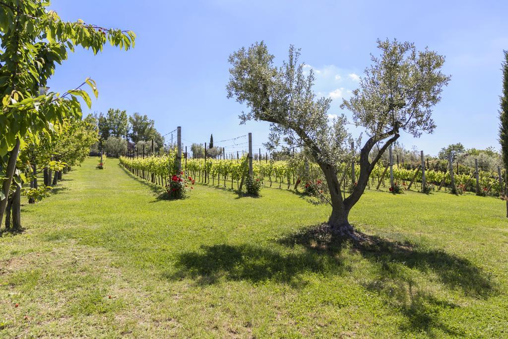 Agriturismo Le Bosche San Marino Exterior foto